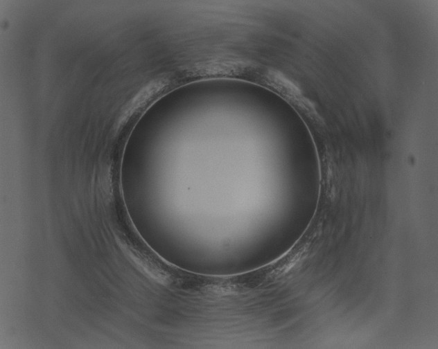 X0000074310250200608251243