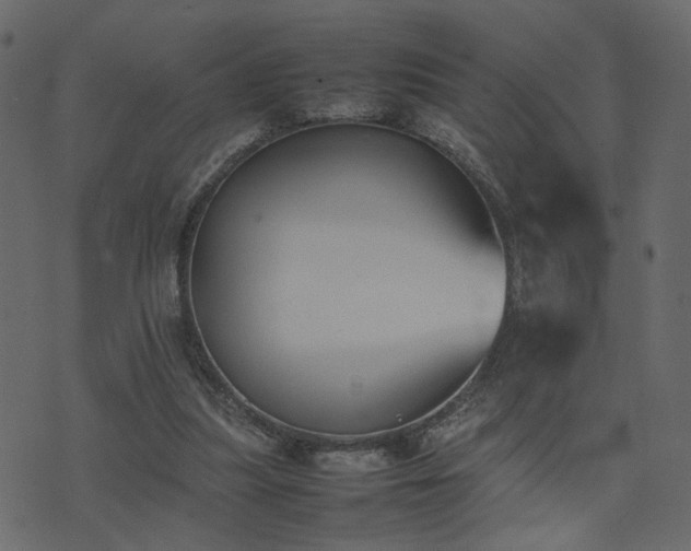 X0000074310251200608251243