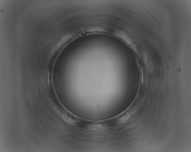 X0000074310253200608251243