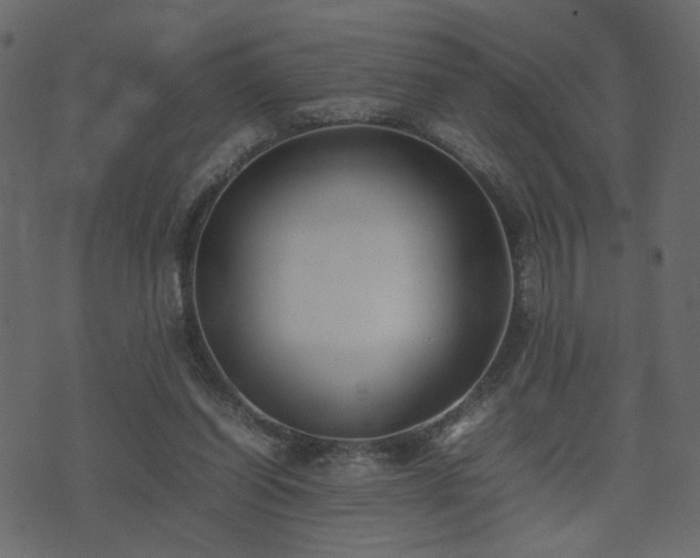 X0000074310254200608251243