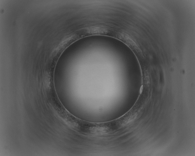 X0000074310255200608251243