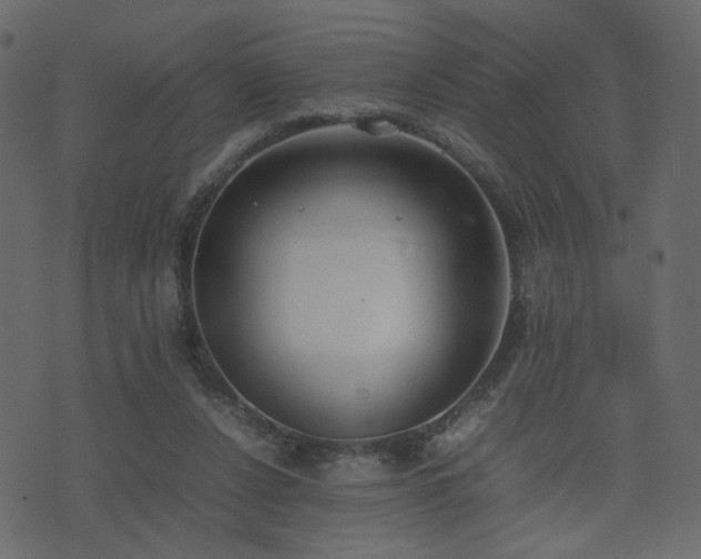 X0000074310256200608251243