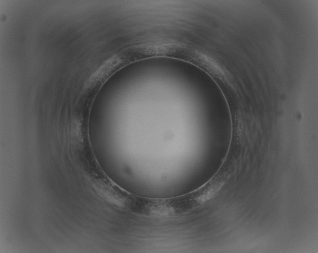 X0000074310258200608251243