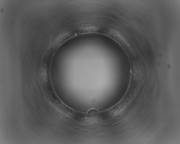 X0000074310259200608251243