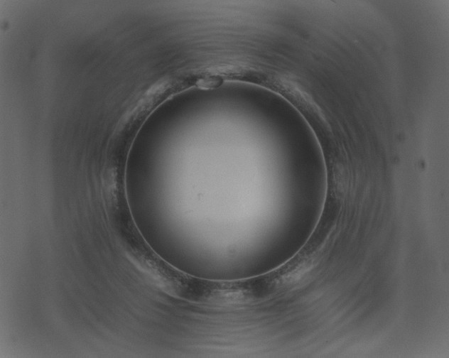 X0000074310260200608251243