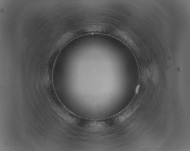 X0000074310261200608251243