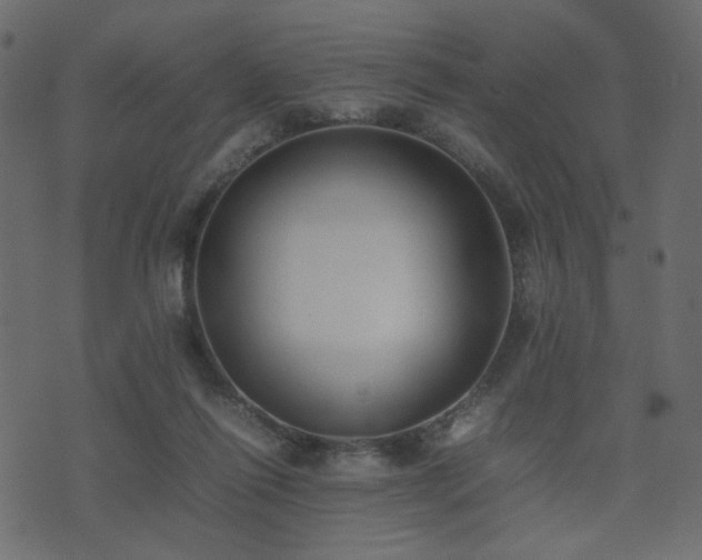 X0000074310262200608251243