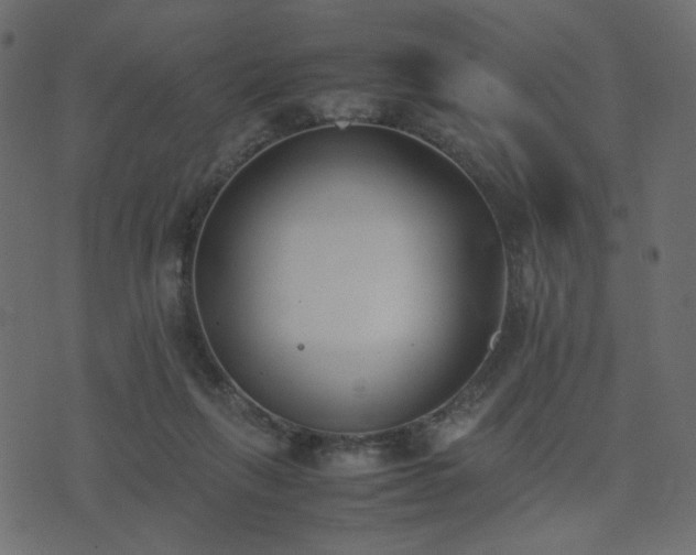 X0000074310263200608251243