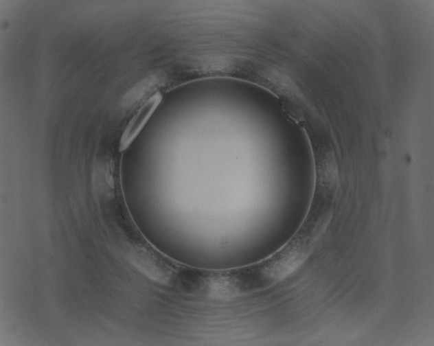 X0000074310264200608251243