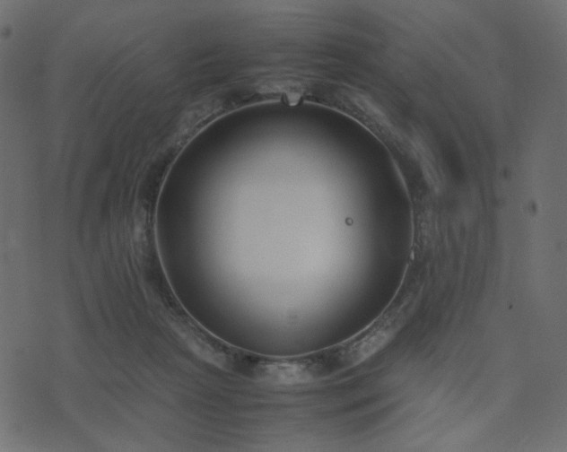 X0000074310265200608251243