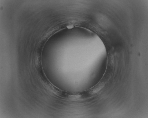 X0000074310266200608251243