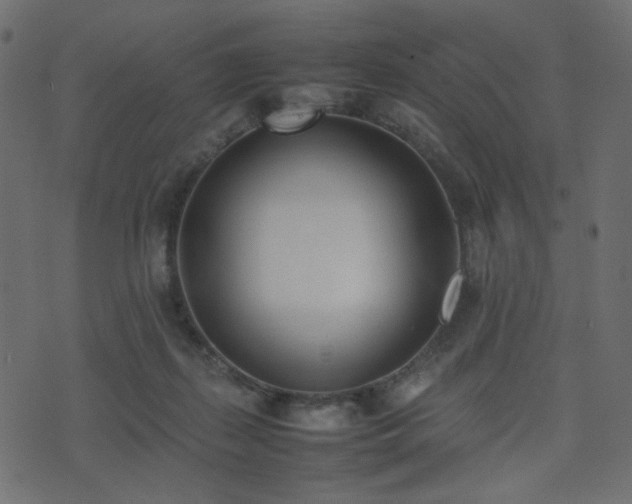 X0000074310267200608251243