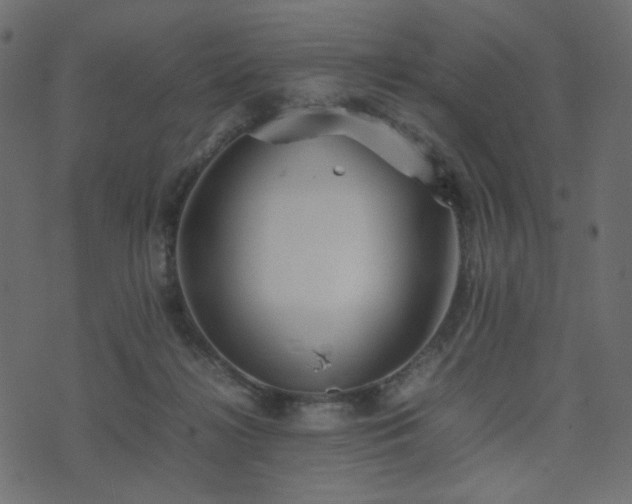 X0000074310268200608251243