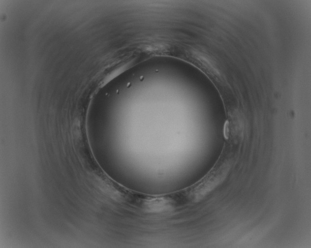 X0000074310269200608251243