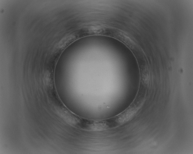 X0000074310270200608251243