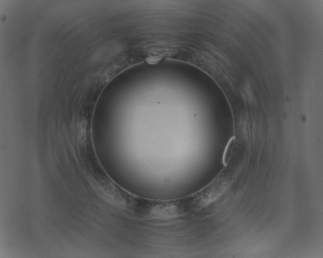 X0000074310271200608251243