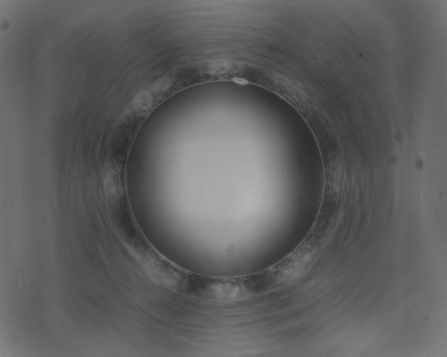 X0000074310272200608251243