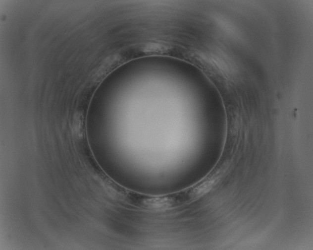 X0000074310273200608251243