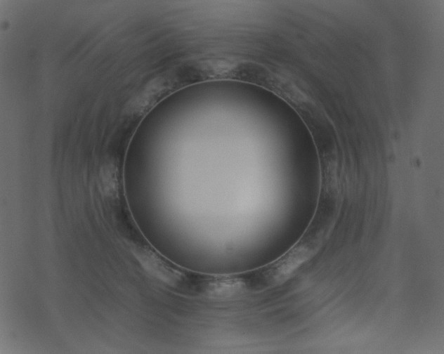 X0000074310274200608251243