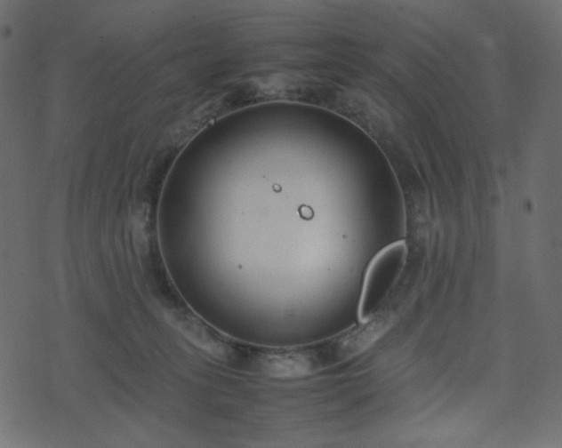 X0000074310275200608251243