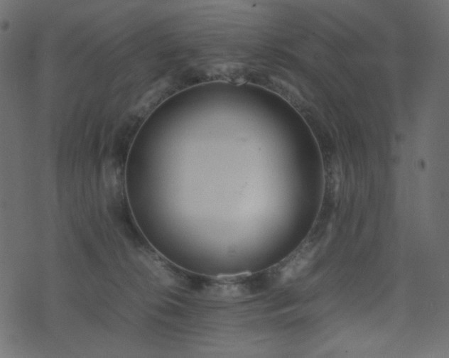 X0000074310276200608251243