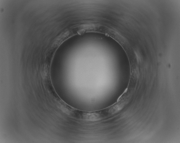 X0000074310277200608251243