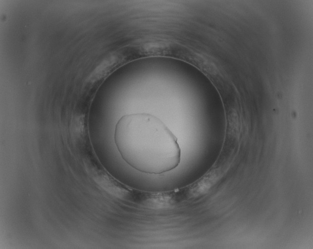 X0000074310278200608251243