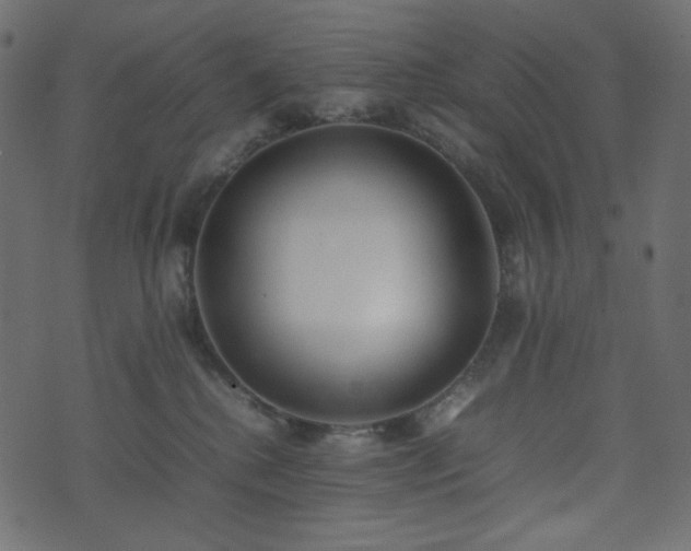 X0000074310280200608251243