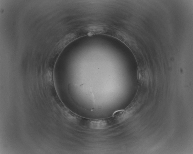 X0000074310281200608251243