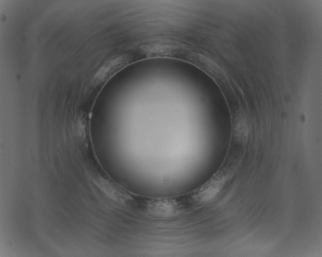 X0000074310282200608251243