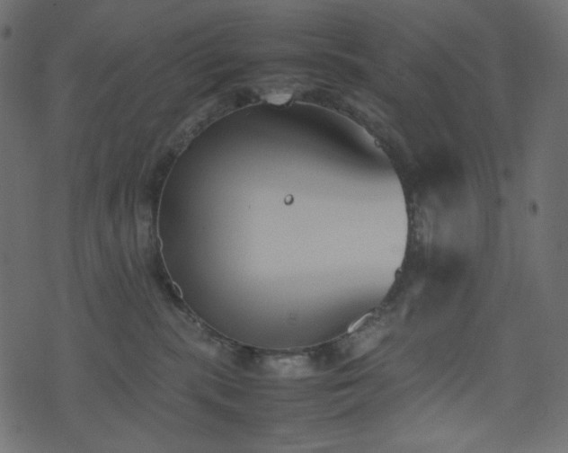 X0000074310283200608251243