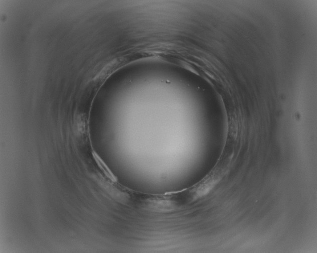 X0000074310284200608251243