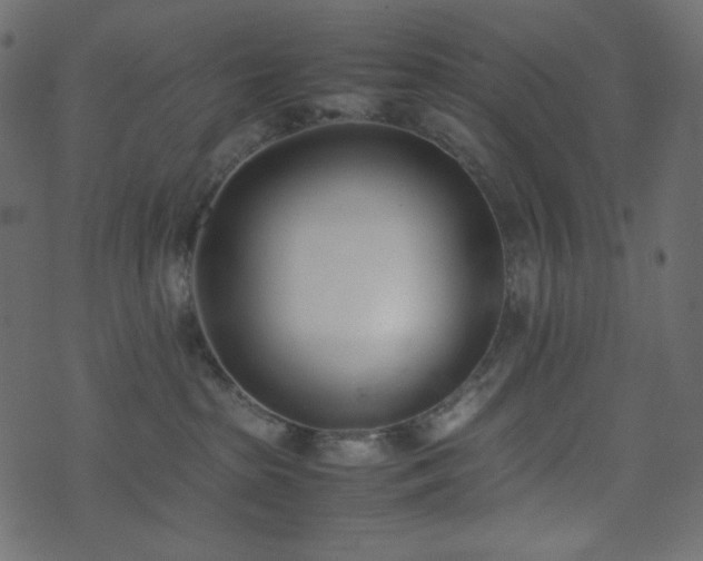 X0000074310285200608251243