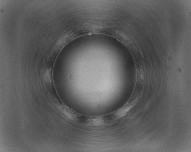 X0000074310286200608251243