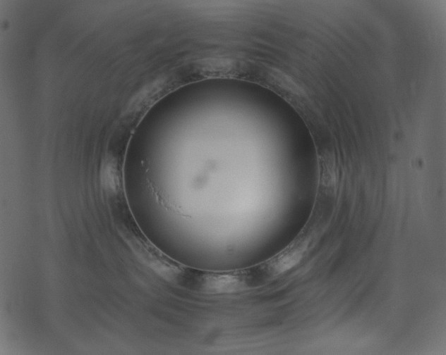 X0000074310287200608251243