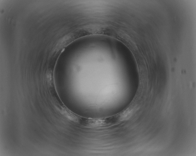 X0000074310288200608251243