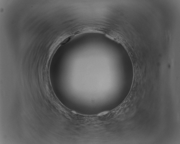 X0000074310289200608251242