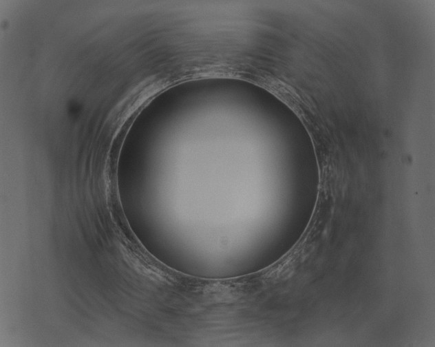 X0000074310290200608251242