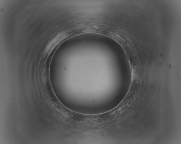 X0000074310291200608251242