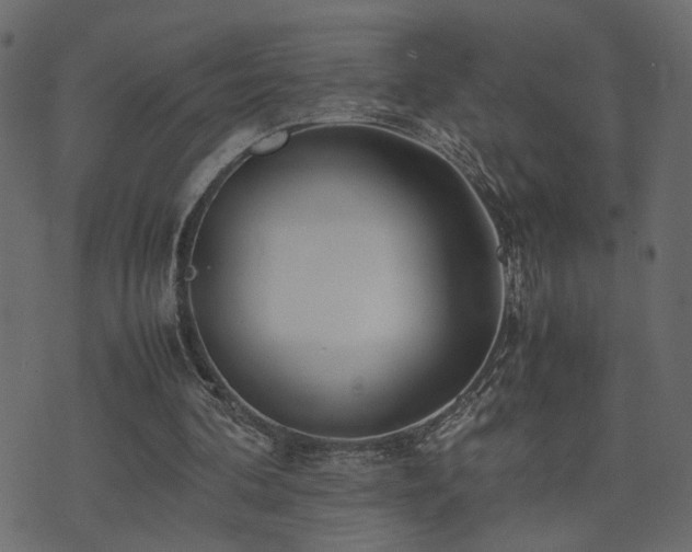 X0000074310292200608251242