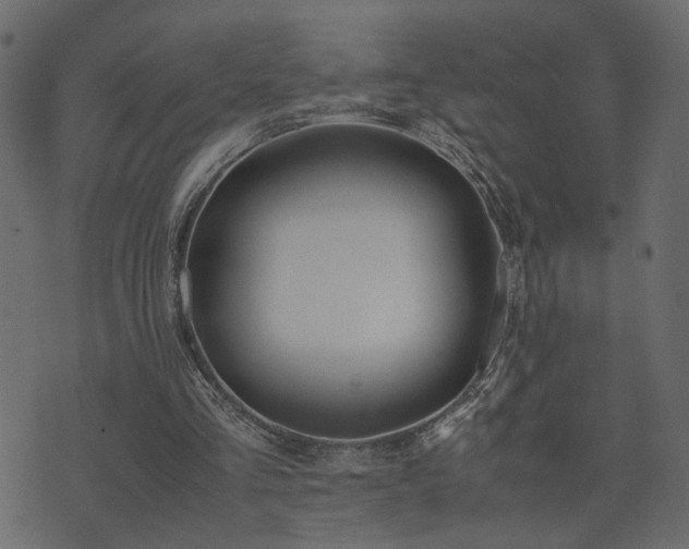 X0000074310293200608251242