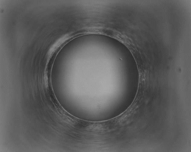 X0000074310294200608251242