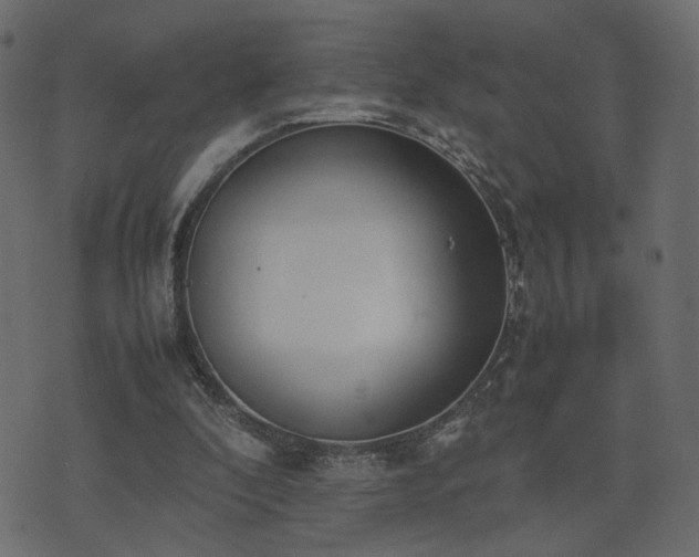 X0000074310296200608251242