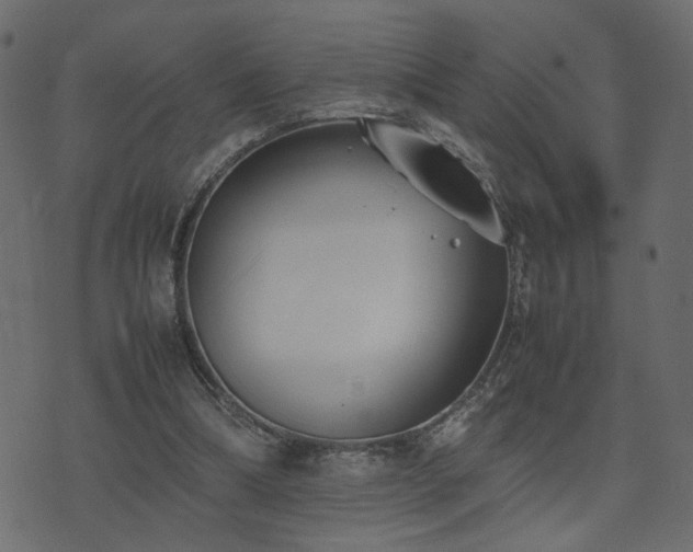 X0000074310298200608251242