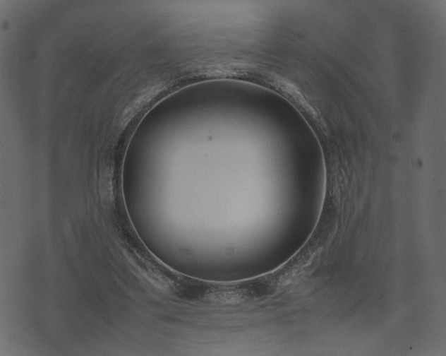 X0000074310299200608251242