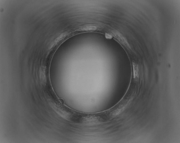 X0000074310300200608251242