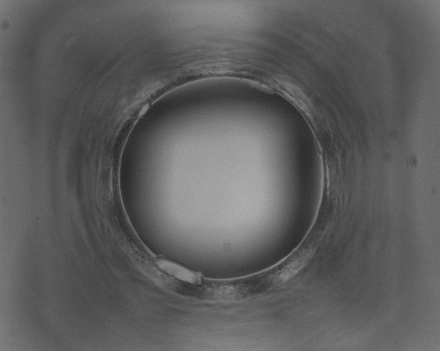 X0000074310301200608251242