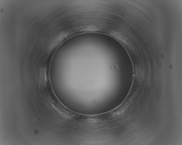 X0000074310302200608251242