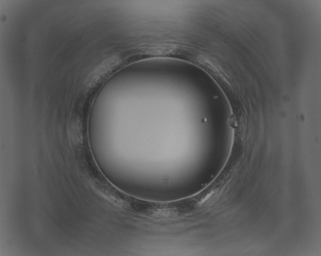 X0000074310303200608251242