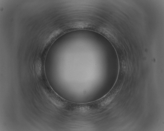 X0000074310304200608251242